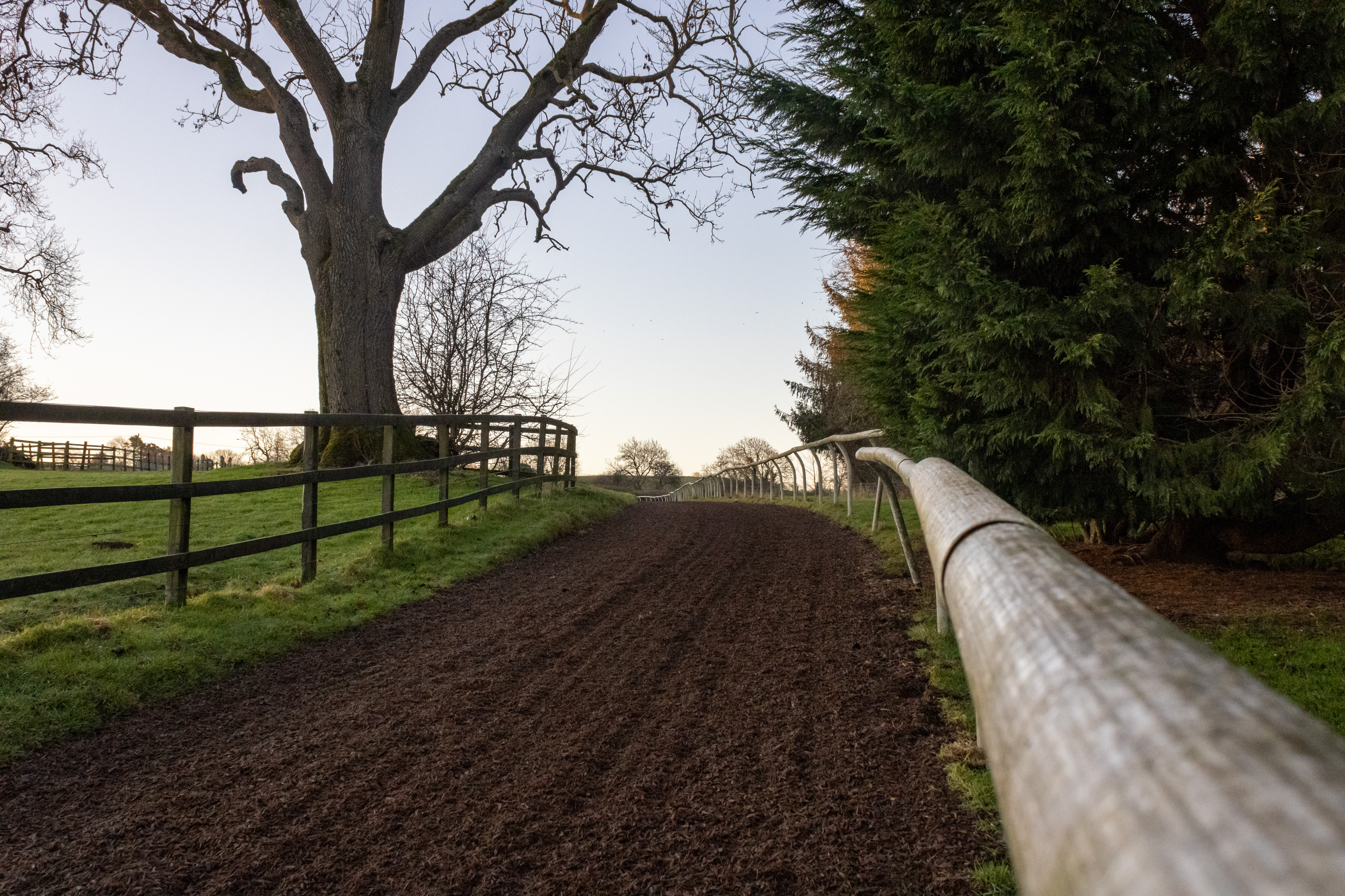 Uphill All Weather Gallops